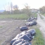 https://www.gonews.it/wp-content/uploads/2025/04/Rifiuti-Rimossi-2-e1744471551107-150x150.jpg
