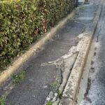 https://www.gonews.it/wp-content/uploads/2025/04/Via_Sanzio_Castelfiorentino_Lega_2025__3-150x150.jpeg