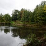 https://www.gonews.it/wp-content/uploads/2025/04/parco-pratolino-2-150x150.jpg