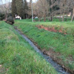 https://www.gonews.it/wp-content/uploads/2025/04/rio-botricello-capraia-e-limite-150x150.jpg
